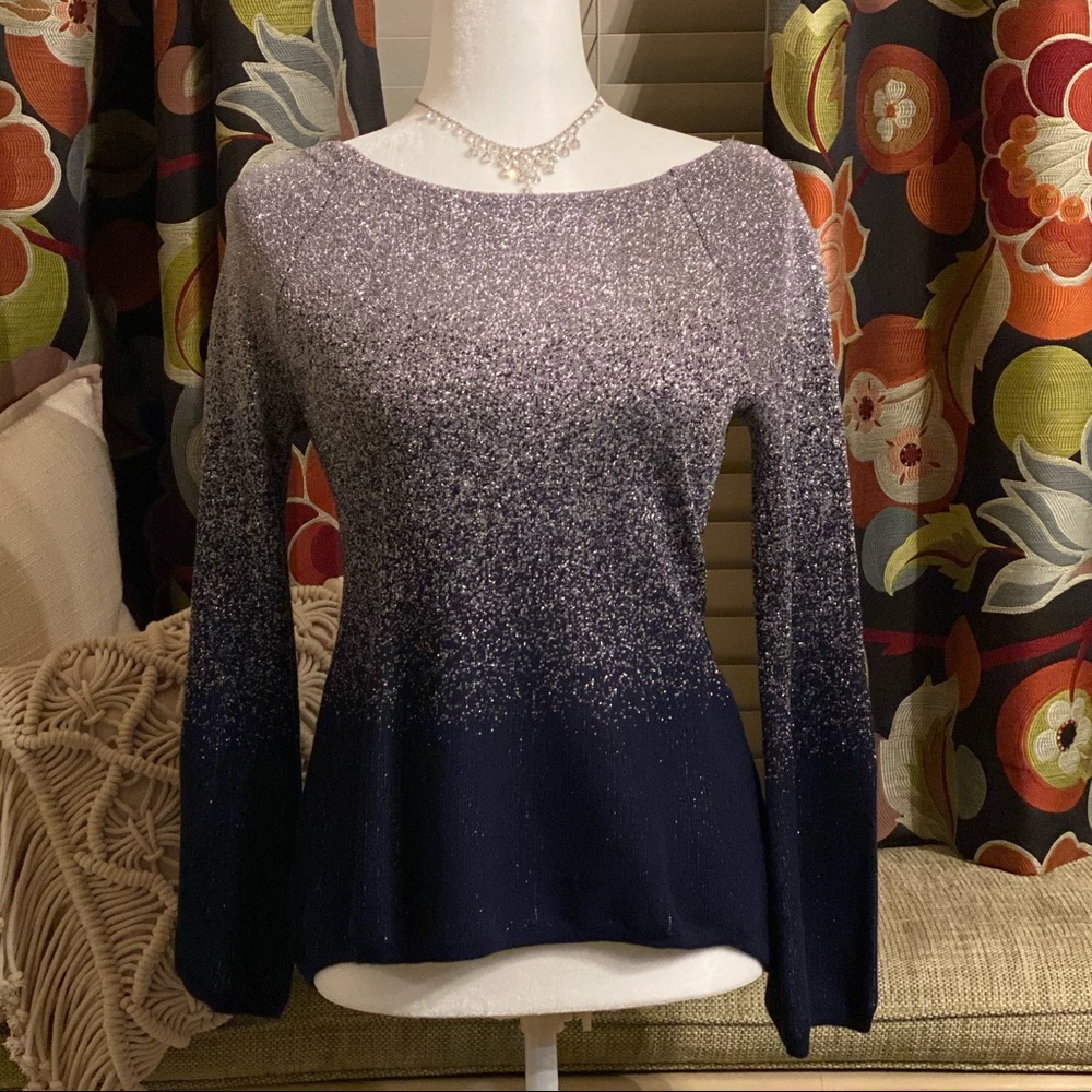 COPY - EUC WHBM Indigo Silver Ombre Sweater (S)